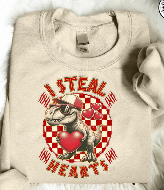 Boy Dinosaur “I steal hearts” sweatshirt